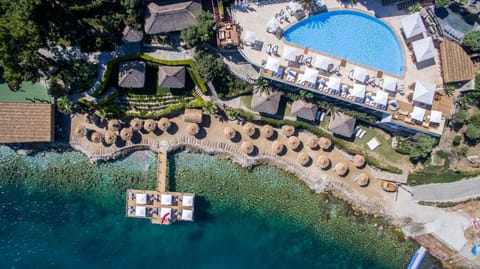 Day, Bird's eye view, Beach, Swimming pool
