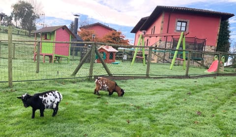 Children play ground, Animals