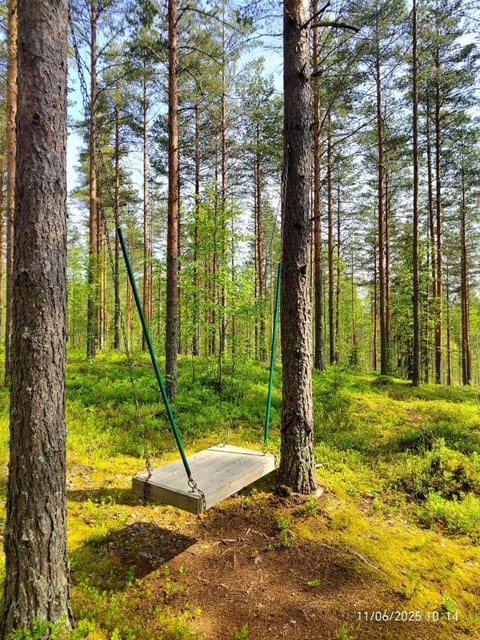 Day, Natural landscape