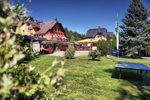 Day, Natural landscape, Garden, Table tennis, Garden view