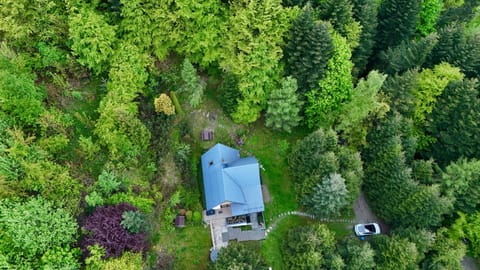Spring, Bird's eye view, View (from property/room)