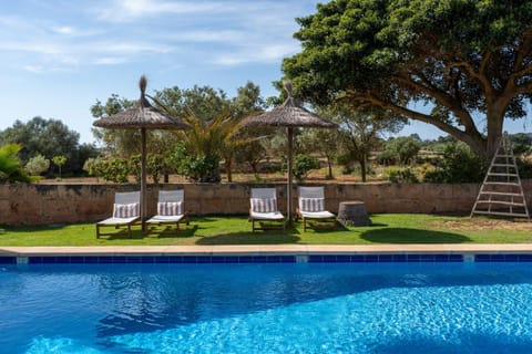 Day, Garden, Pool view, Swimming pool, sunbed