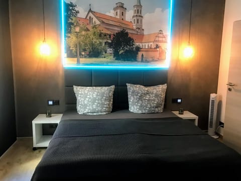 Living room, Photo of the whole room, Decorative detail, Bedroom
