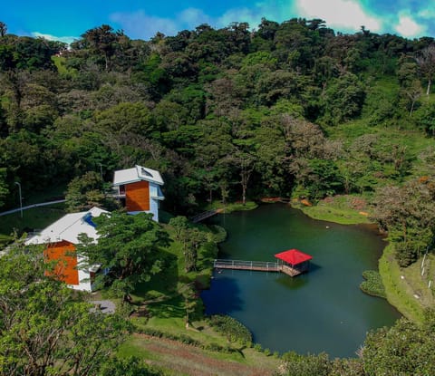 Natural landscape, Bird's eye view, Lake view