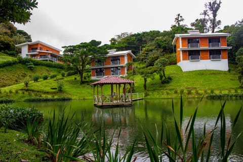 Lake view