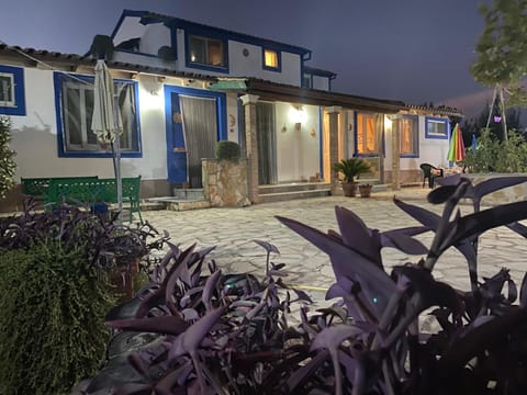 Property building, Night, Garden, Garden view