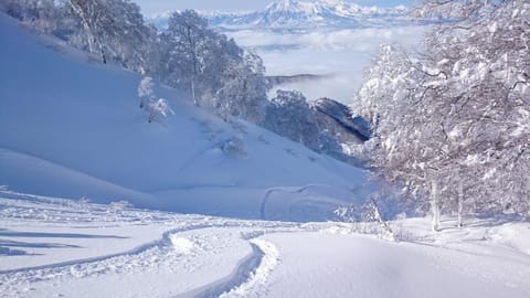 Natural landscape, Winter, Skiing, Mountain view