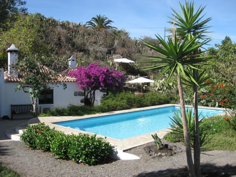 Garden, Swimming pool