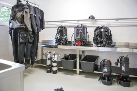 Property building, Diving, Sports