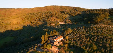 Garden, Mountain view
