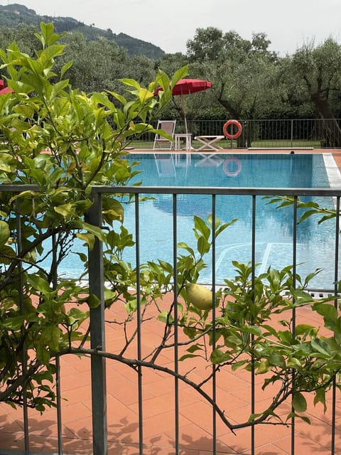 Day, Swimming pool