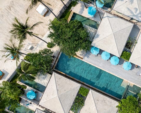 Bird's eye view, Swimming pool, sunbed