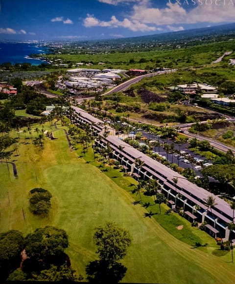 Property building, Bird's eye view