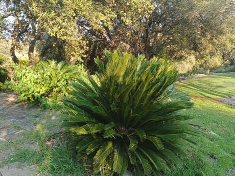 Agriturismo Desole Farm Stay in Sardinia