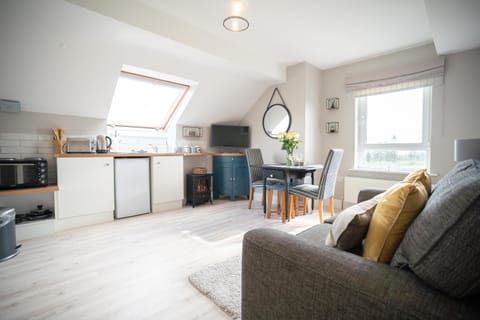 TV and multimedia, oven, stove