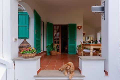 Patio, Facade/entrance, Animals, Pets