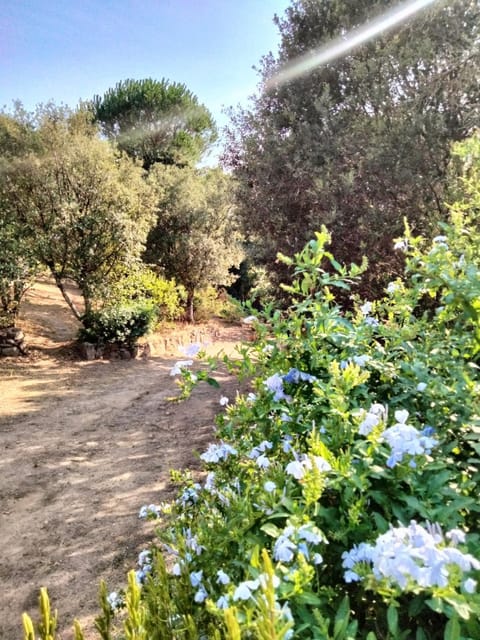 Le studio Apartment in Porto-Vecchio