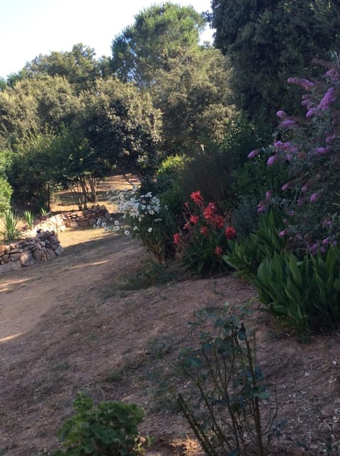 Le studio Apartment in Porto-Vecchio