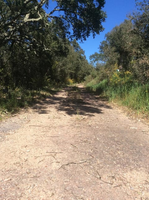 Le studio Apartment in Porto-Vecchio