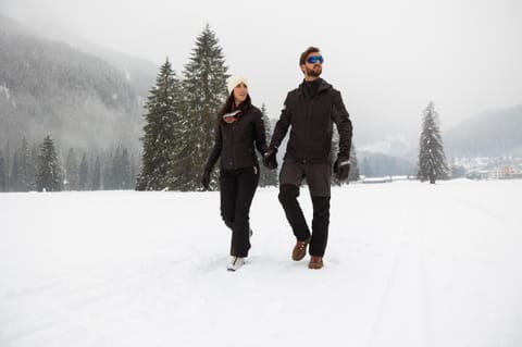 Natural landscape, Winter, Mountain view