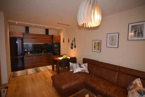 Raj Apartment Apartment in Zlatibor