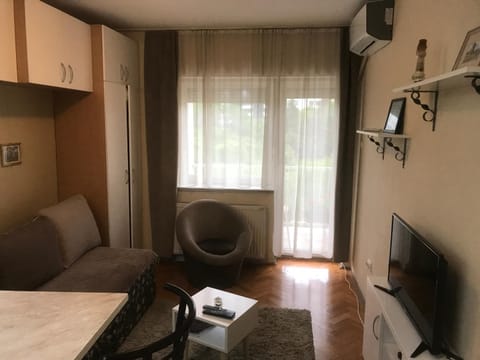 Studio Nina Apartment in Novi Sad