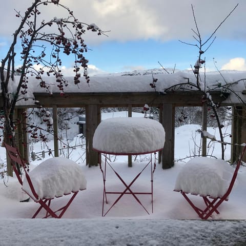 Natural landscape, Winter