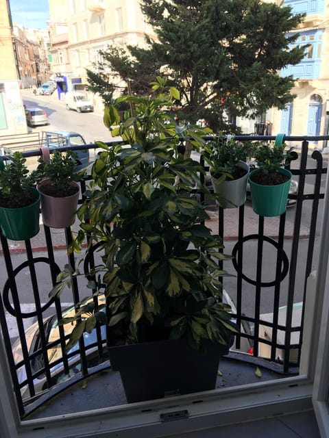 Property building, View (from property/room), Balcony/Terrace