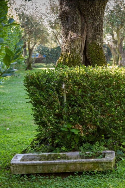 Shower, Toilet, Facade/entrance, Spring, Summer, Garden, Garden, TV and multimedia, Garden view, Mountain view, Pool view, Swimming pool, Swimming pool, young children, older children, Family