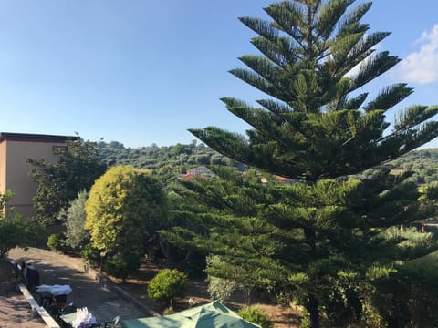 Natural landscape, Garden