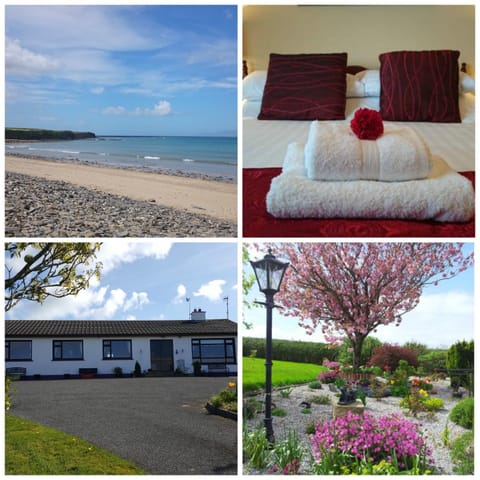 Facade/entrance, Beach, Garden view