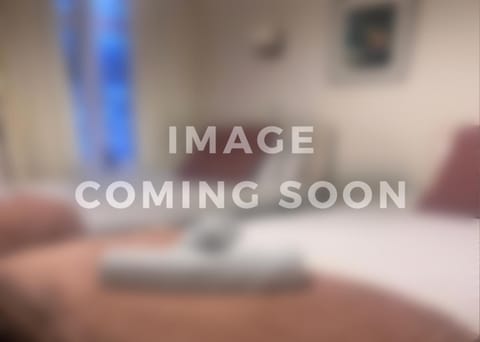 The Crown Hotel Hotel in Saint Vincent