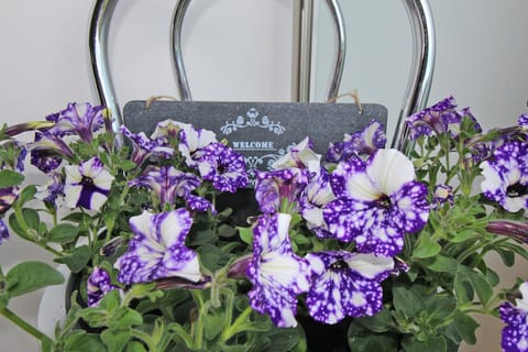 Other, Decorative detail