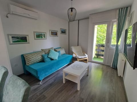 Bed, TV and multimedia, Living room