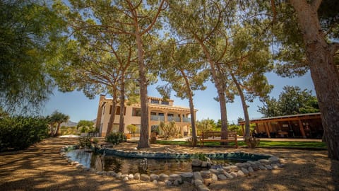 Property building, Garden