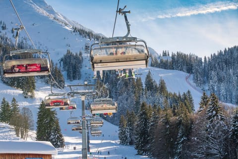Natural landscape, Winter, Ski School, Skiing