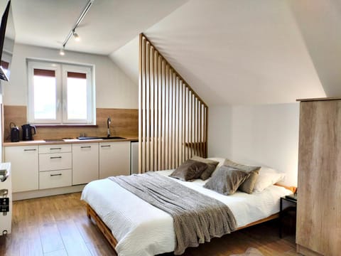 Bed, Kitchen or kitchenette, Photo of the whole room, Bedroom