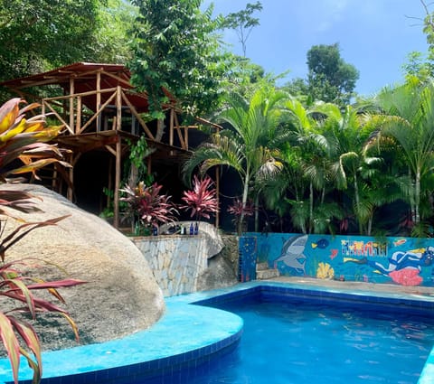 Day, Natural landscape, Garden, Pool view, Swimming pool