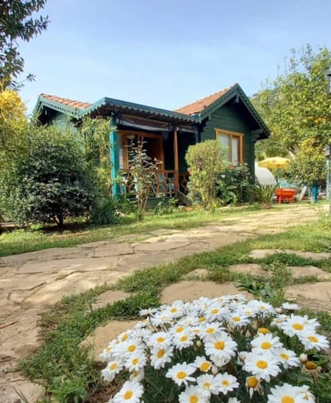 Property building, Garden, Garden view