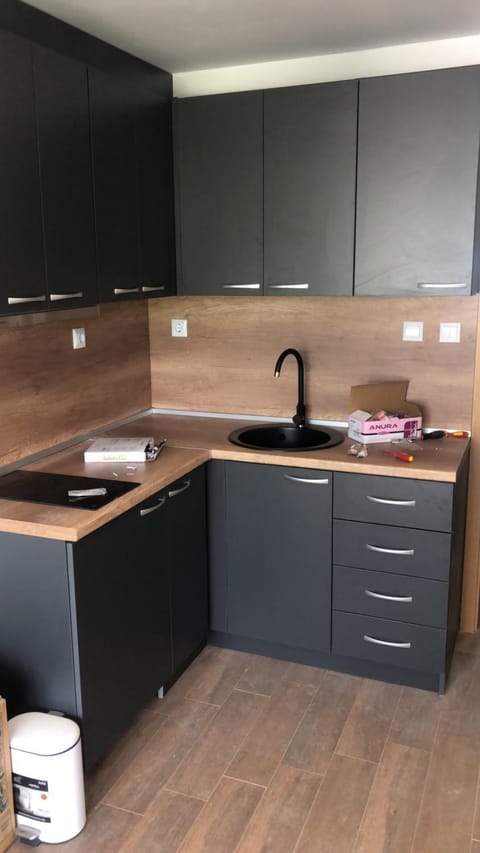 Студиа КРИСИ Apartment in Blagoevgrad Province