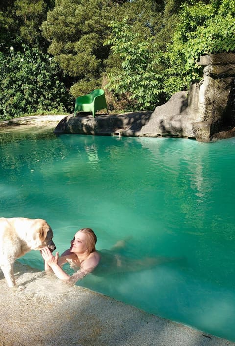 Slow House y La cabaña de Miss Slower Villa in Viana do Castelo District, Portugal