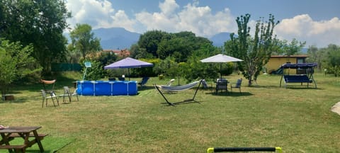 Summer, Garden