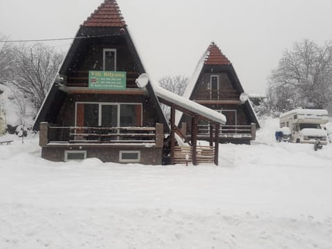 Vili Bilyana House in Serbia