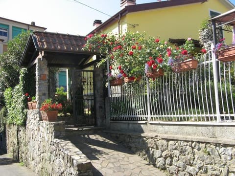Property building, Garden, Garden view