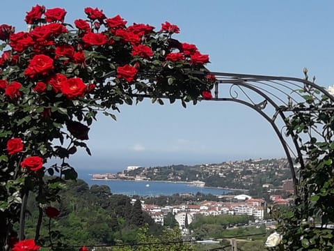 Sea view