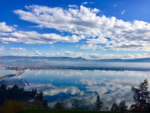 Lake view