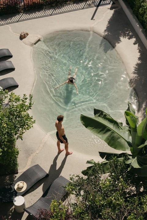 Garden, Solarium, Swimming pool