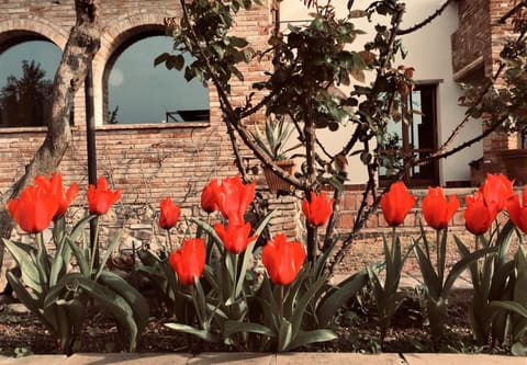 Poggio Magginga Apartment in Tuscany