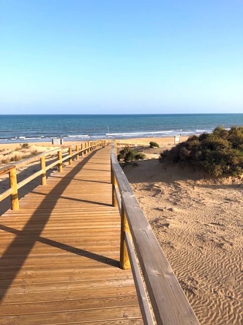 Beach