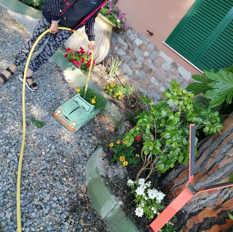 Spring, Day, Garden, Garden view